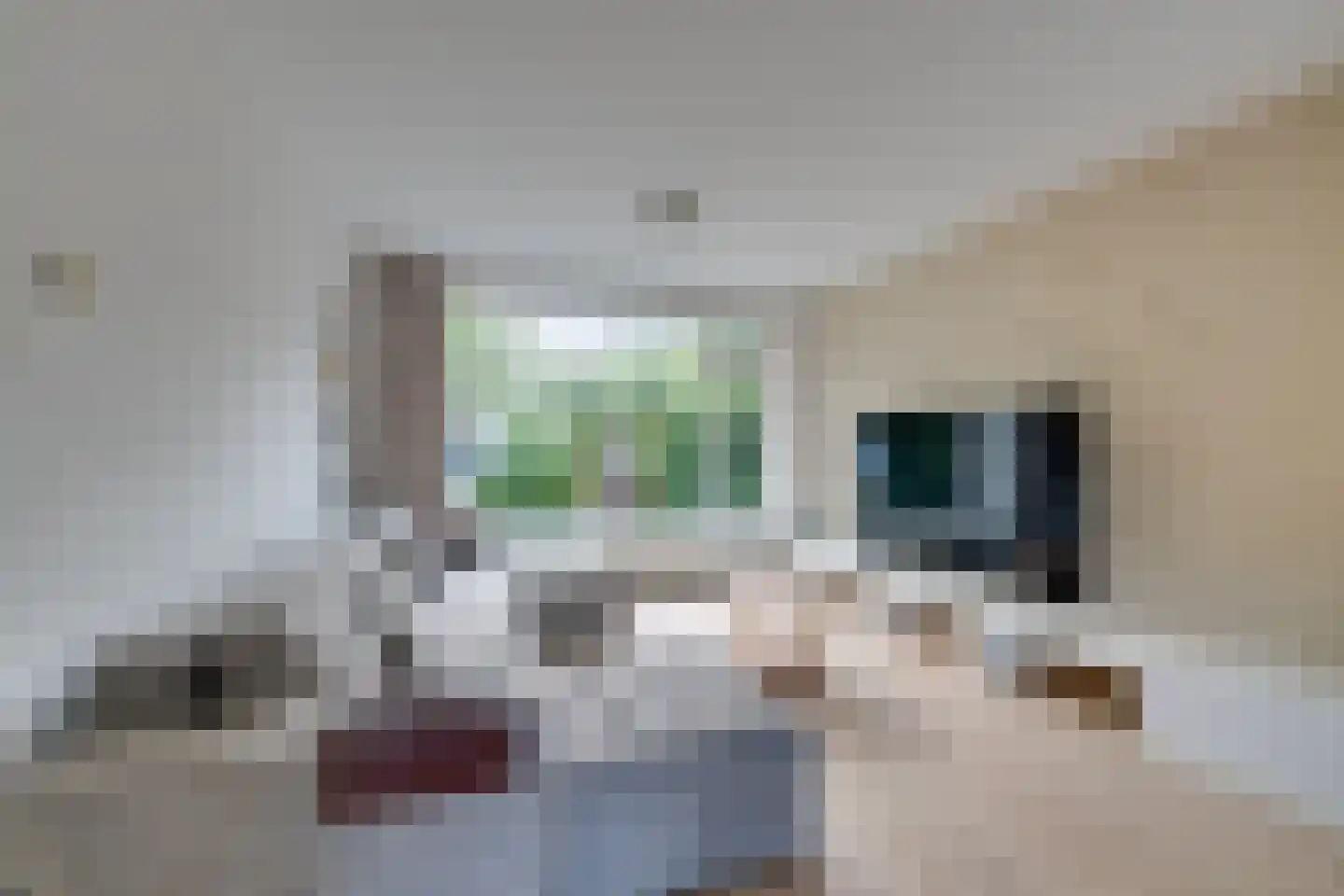 Meeuwstraat 87 Purmerend thumbnail 11