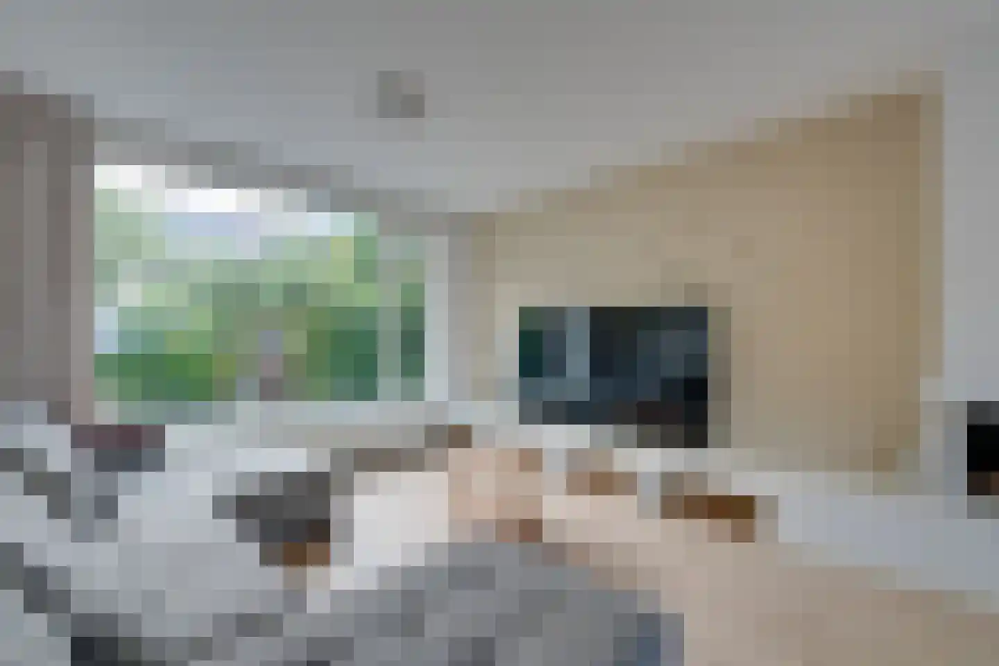 Meeuwstraat 87 Purmerend thumbnail 12