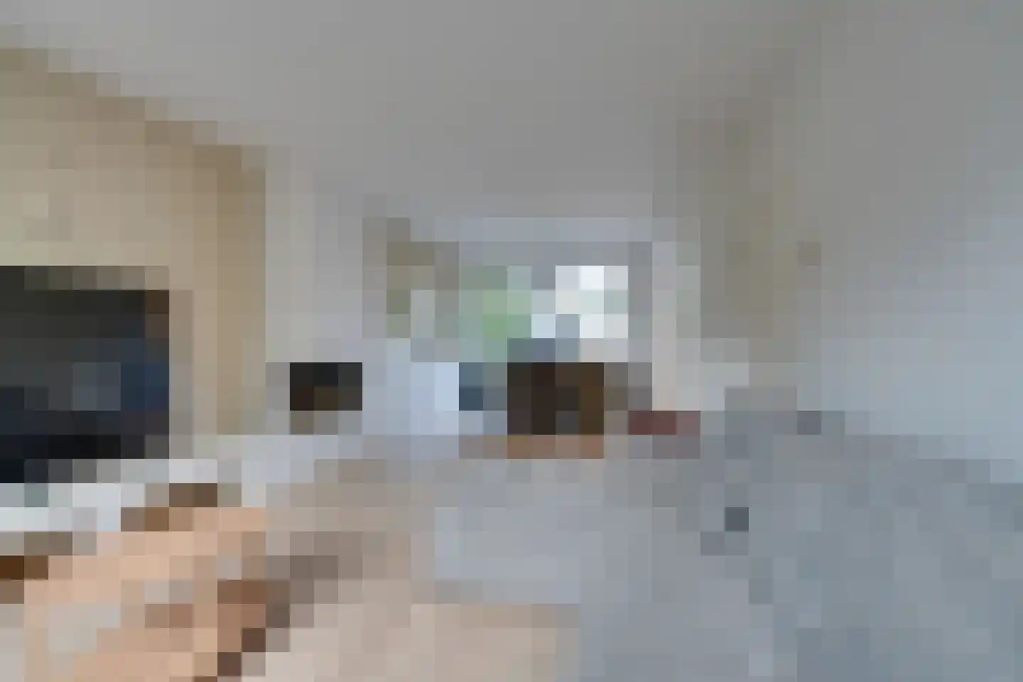Meeuwstraat 87 Purmerend thumbnail 15