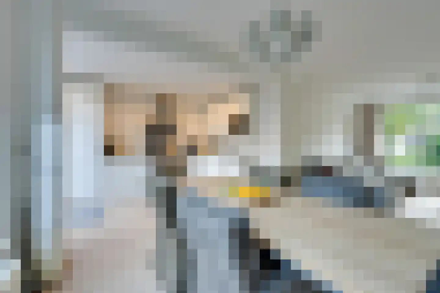 Meeuwstraat 87 Purmerend thumbnail 19
