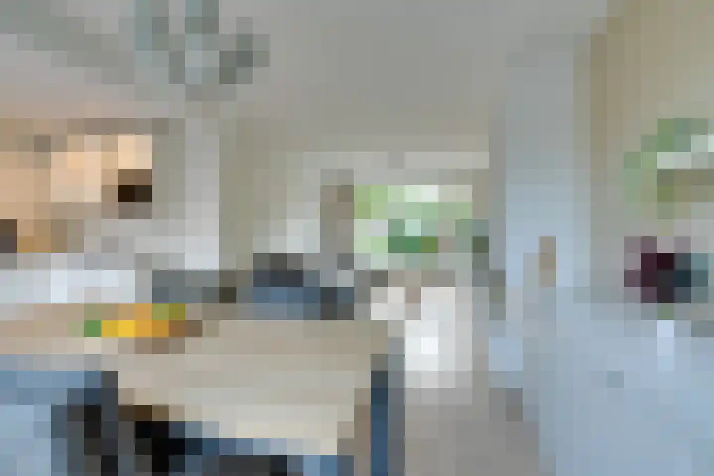 Meeuwstraat 87 Purmerend thumbnail 20