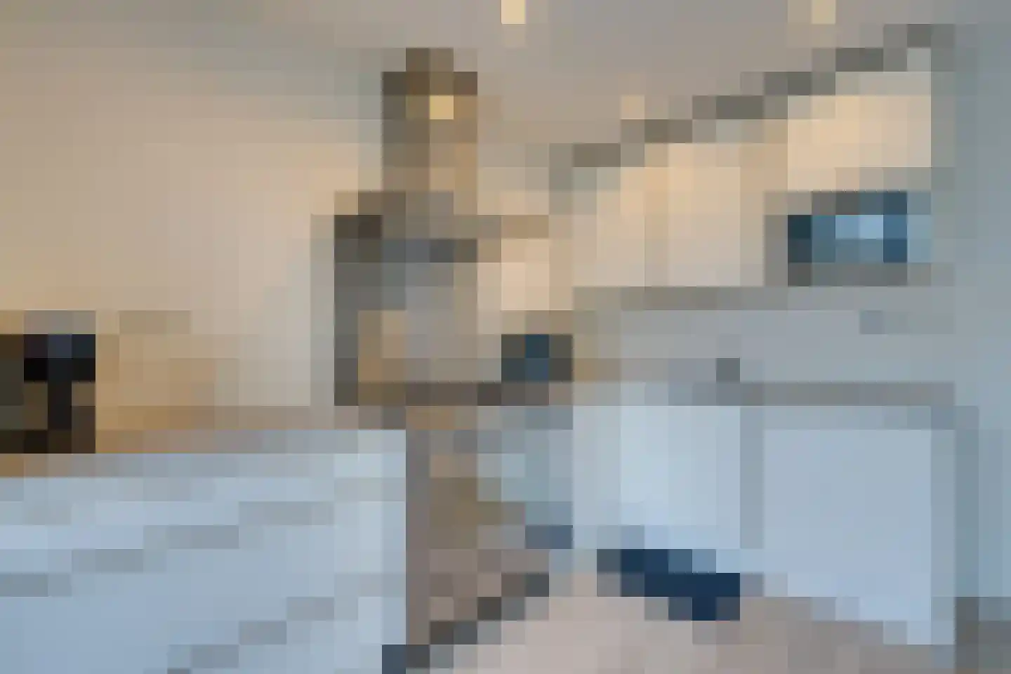 Meeuwstraat 87 Purmerend thumbnail 22