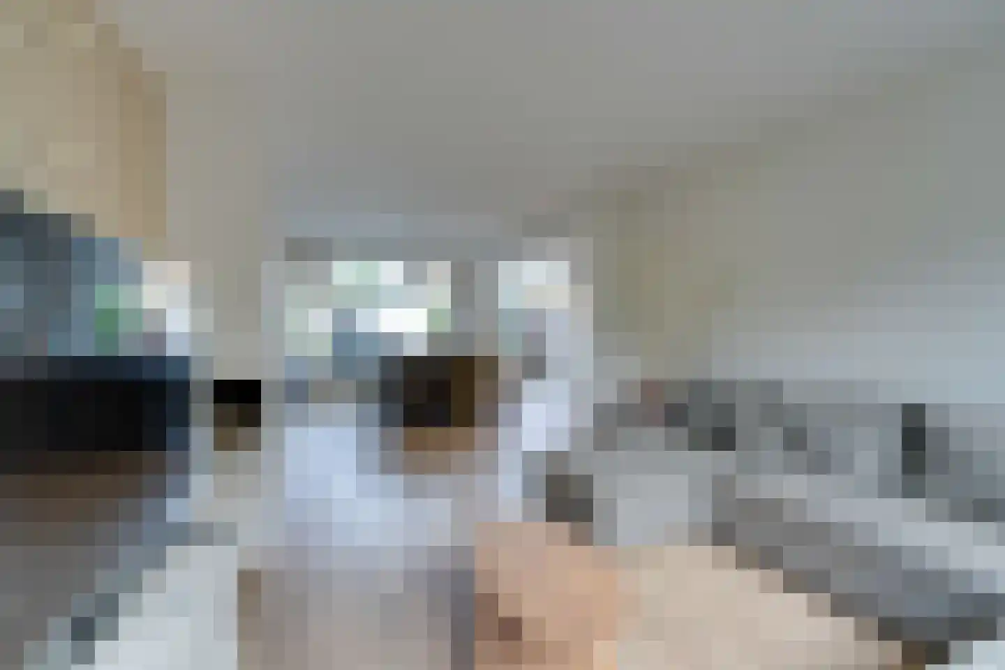 Meeuwstraat 87 Purmerend thumbnail 4