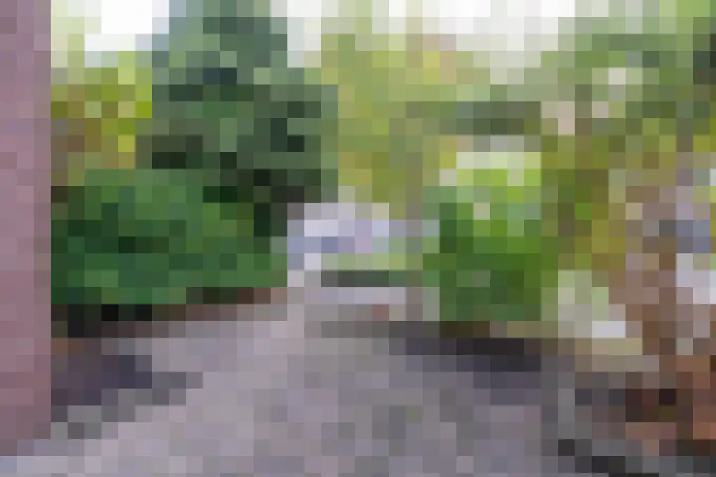 Meeuwstraat 87 Purmerend thumbnail 45