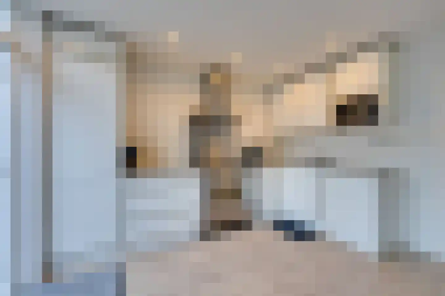 Meeuwstraat 87 Purmerend thumbnail 5