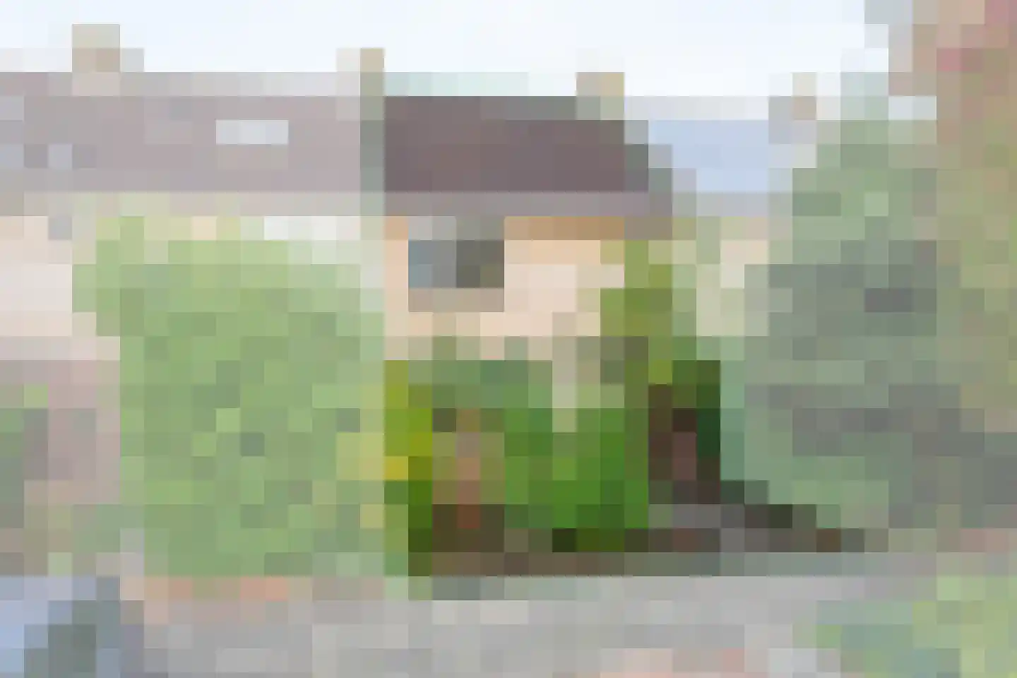 Meeuwstraat 87 Purmerend thumbnail 7
