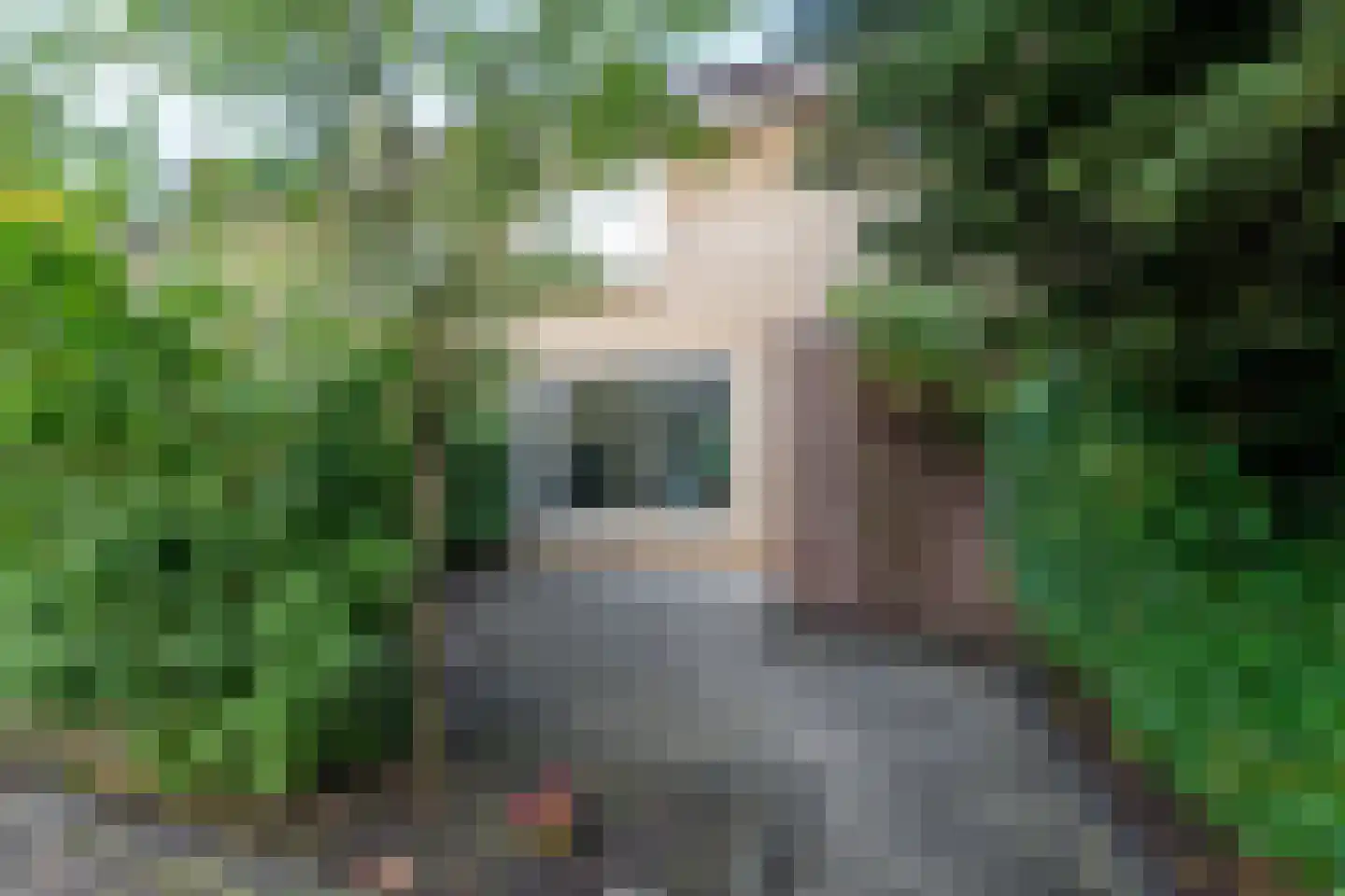 Meeuwstraat 87 Purmerend thumbnail 8