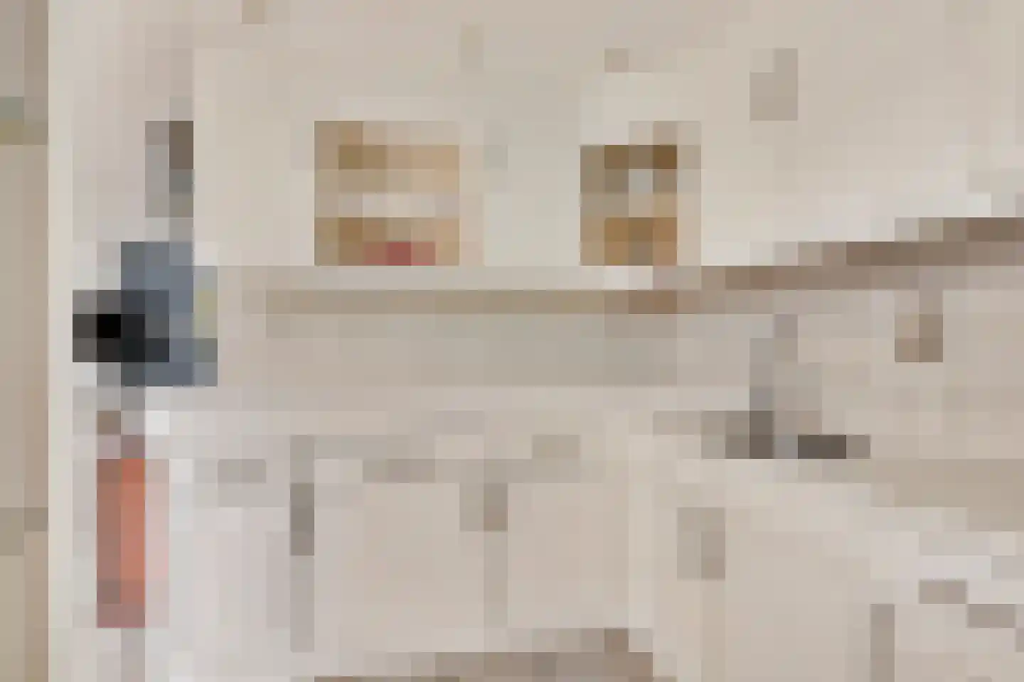 Meeuwstraat 9 Didam thumbnail 10