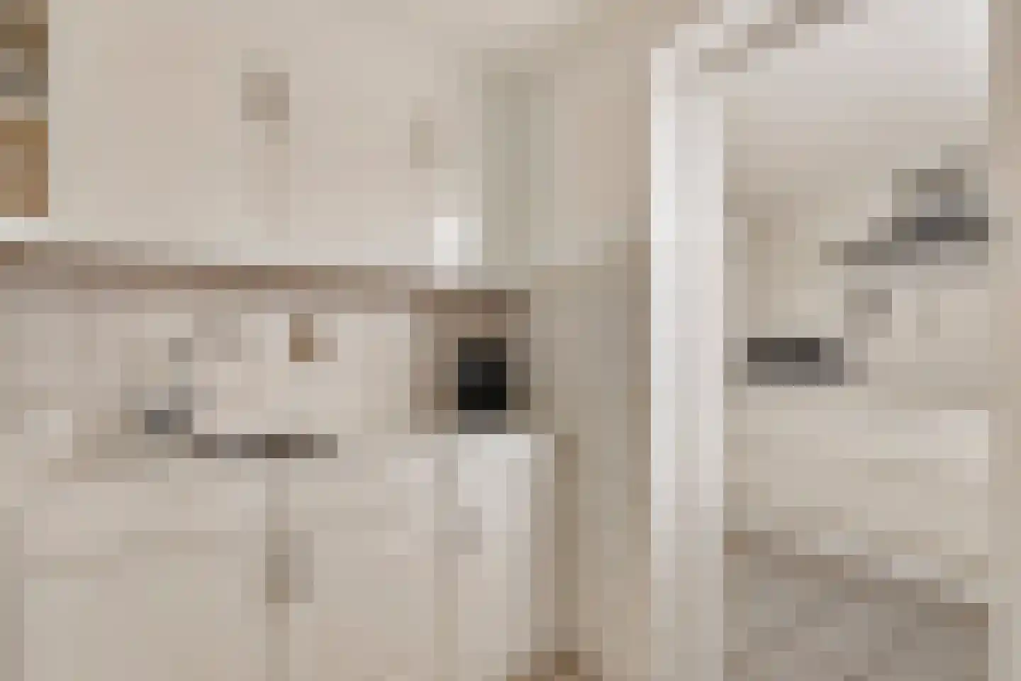Meeuwstraat 9 Didam thumbnail 11