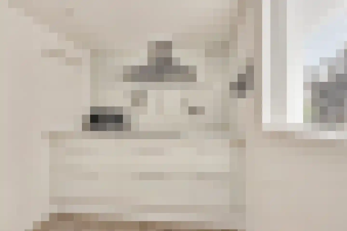 Meeuwstraat 9 Didam thumbnail 12