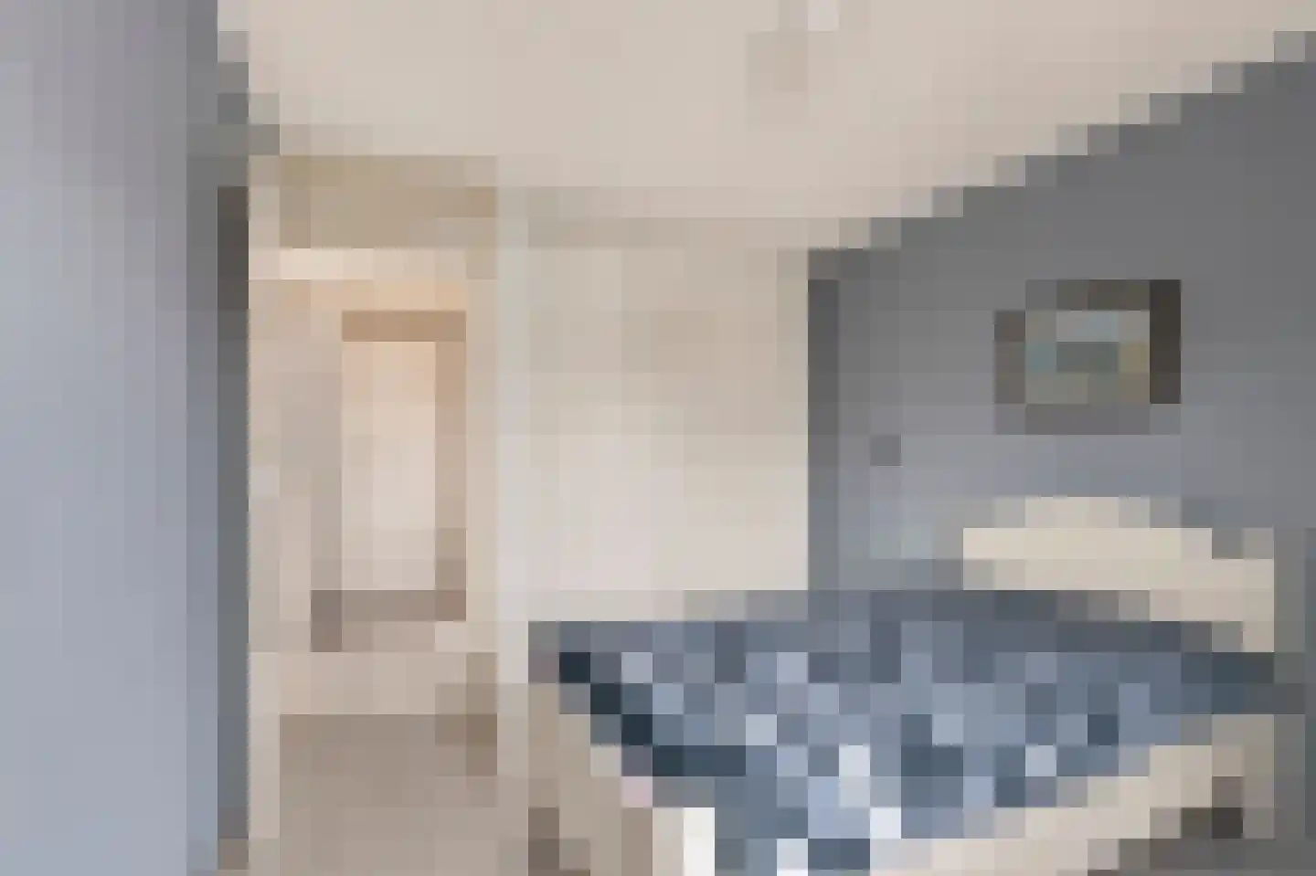 Meeuwstraat 9 Didam thumbnail 15