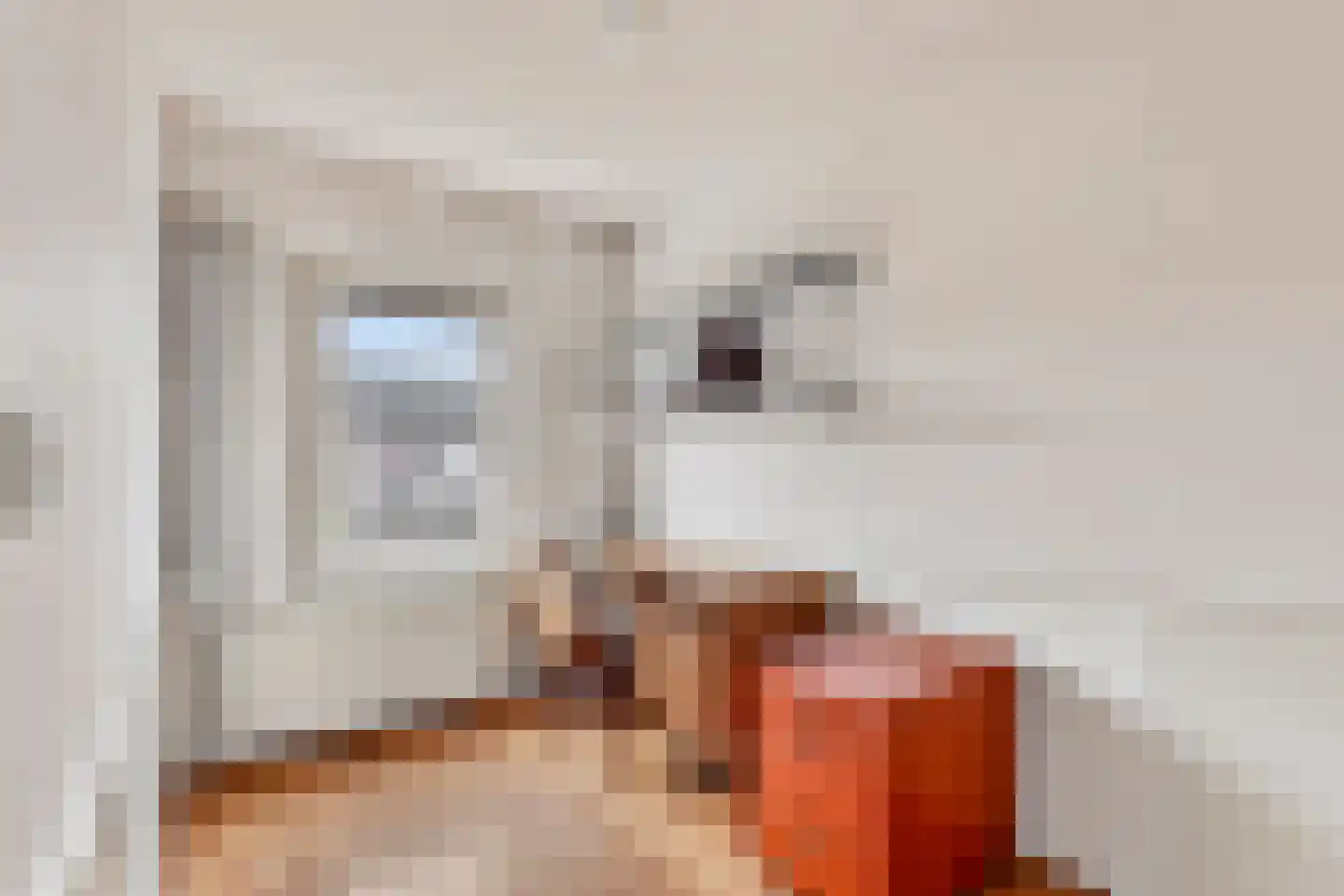 Meeuwstraat 9 Didam thumbnail 16