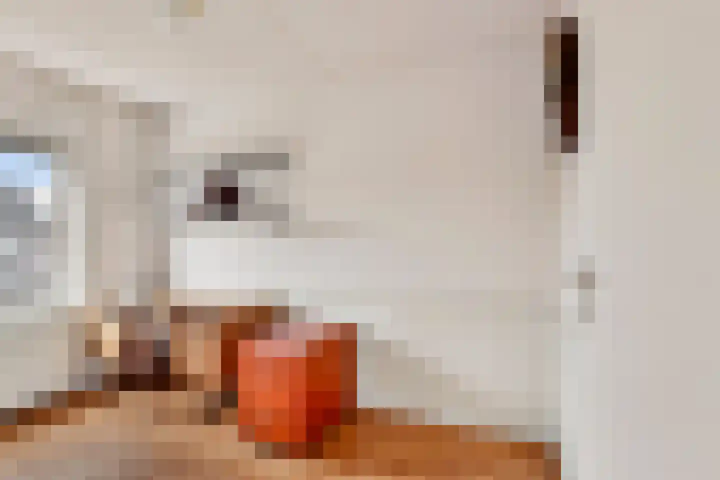 Meeuwstraat 9 Didam thumbnail 17