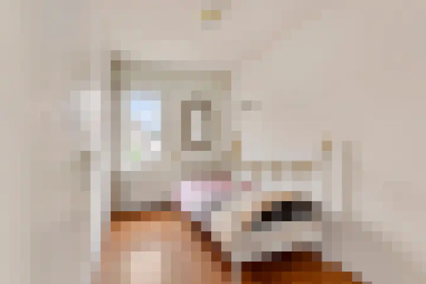 Meeuwstraat 9 Didam thumbnail 18