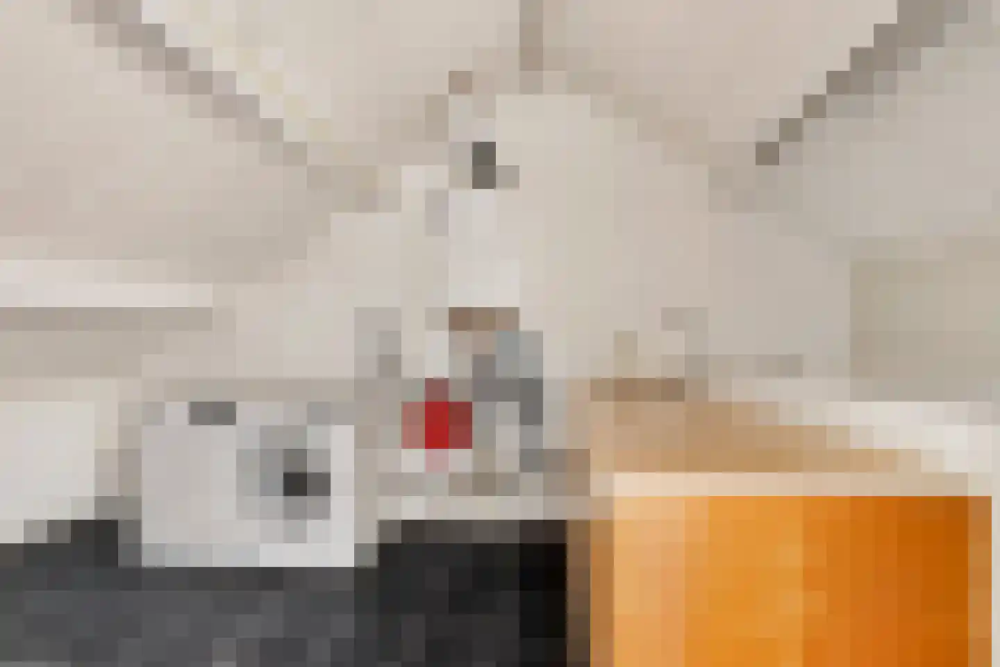 Meeuwstraat 9 Didam thumbnail 25