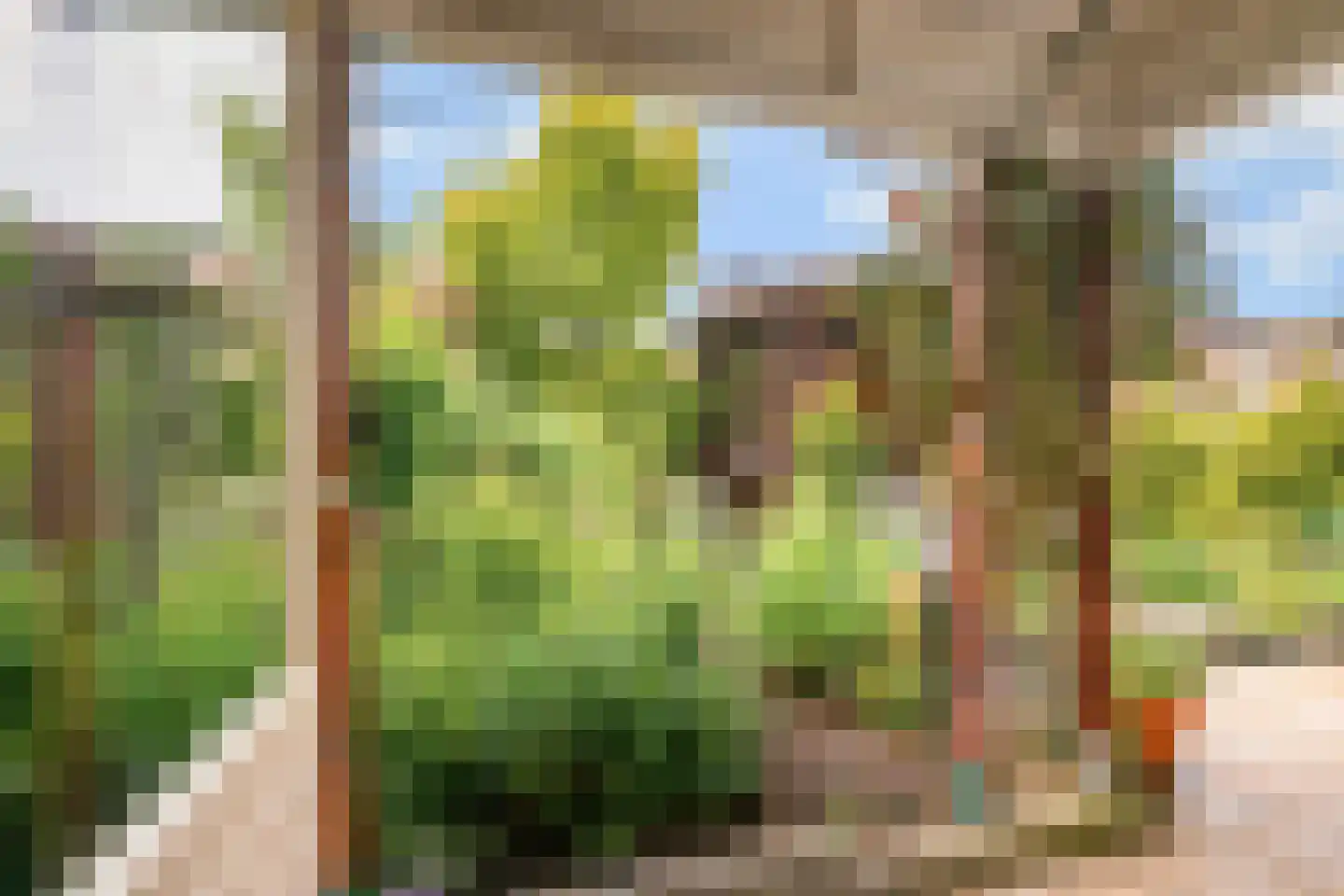 Meeuwstraat 9 Didam thumbnail 27