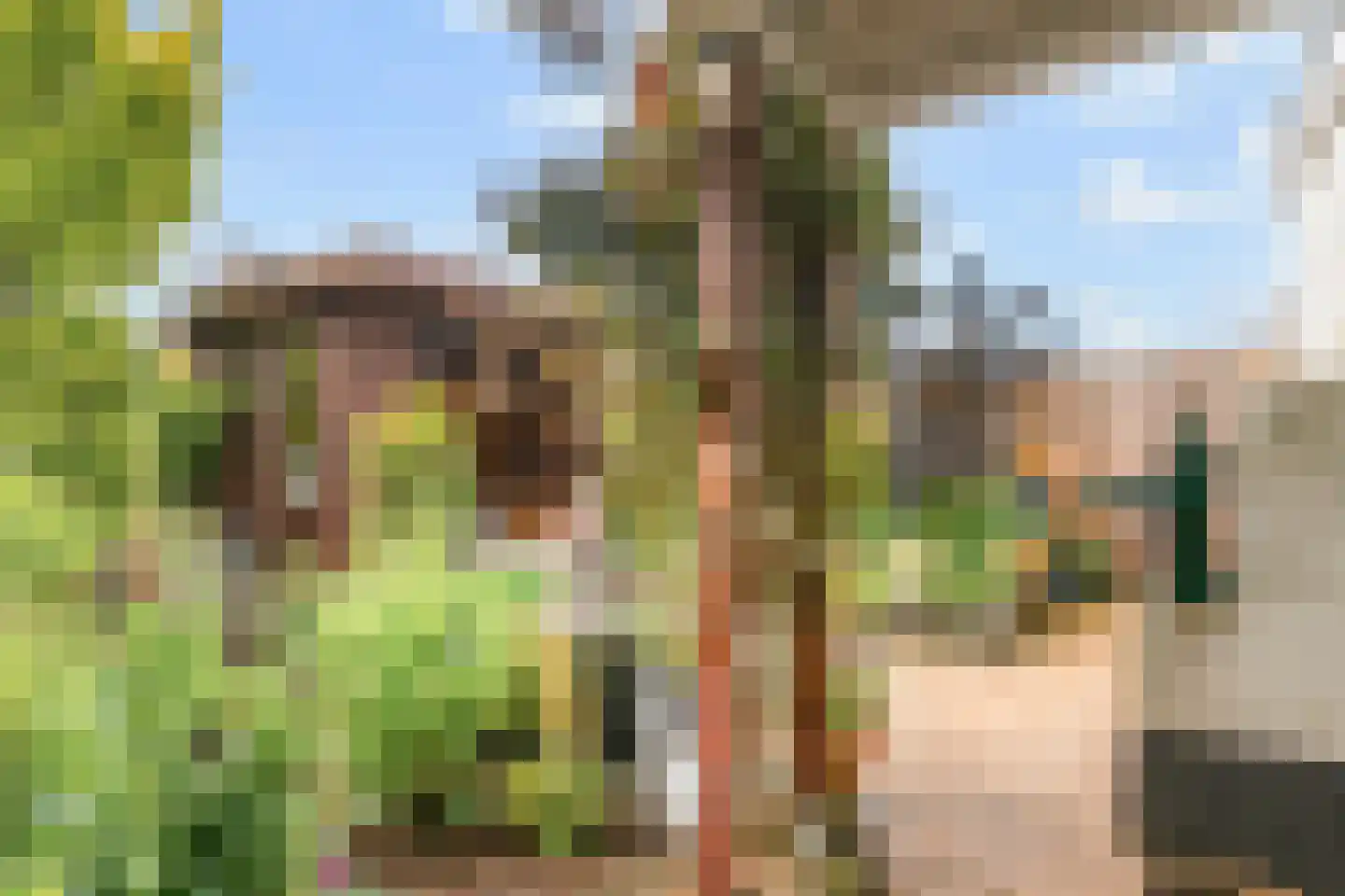 Meeuwstraat 9 Didam thumbnail 28
