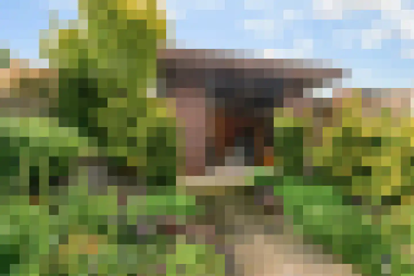 Meeuwstraat 9 Didam thumbnail 29