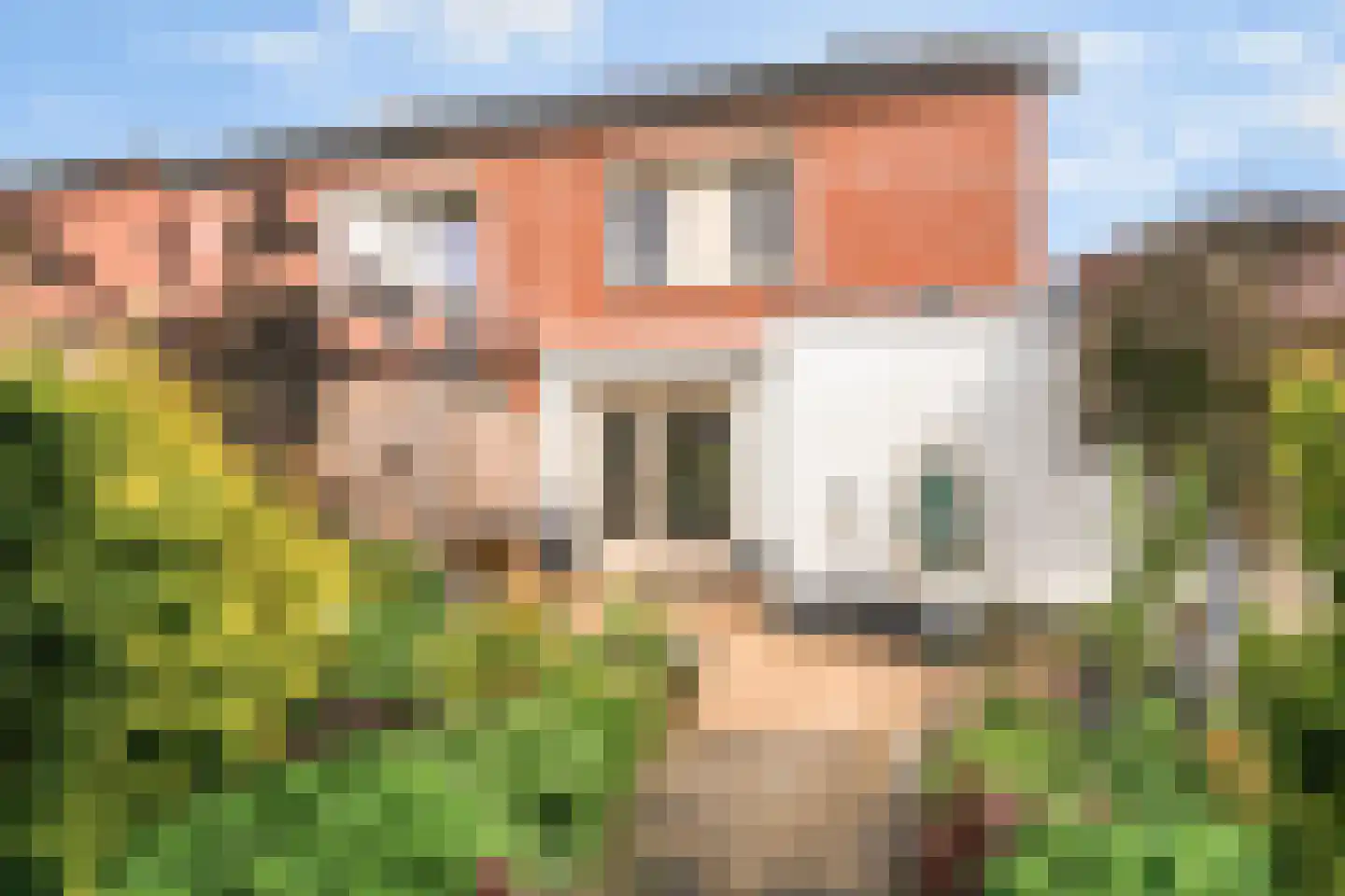 Meeuwstraat 9 Didam thumbnail 30
