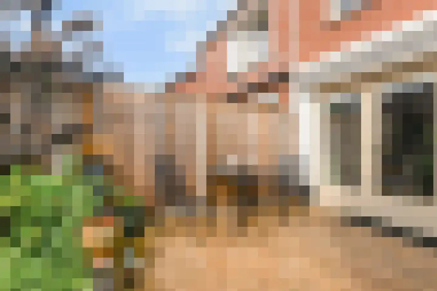 Meeuwstraat 9 Didam thumbnail 31
