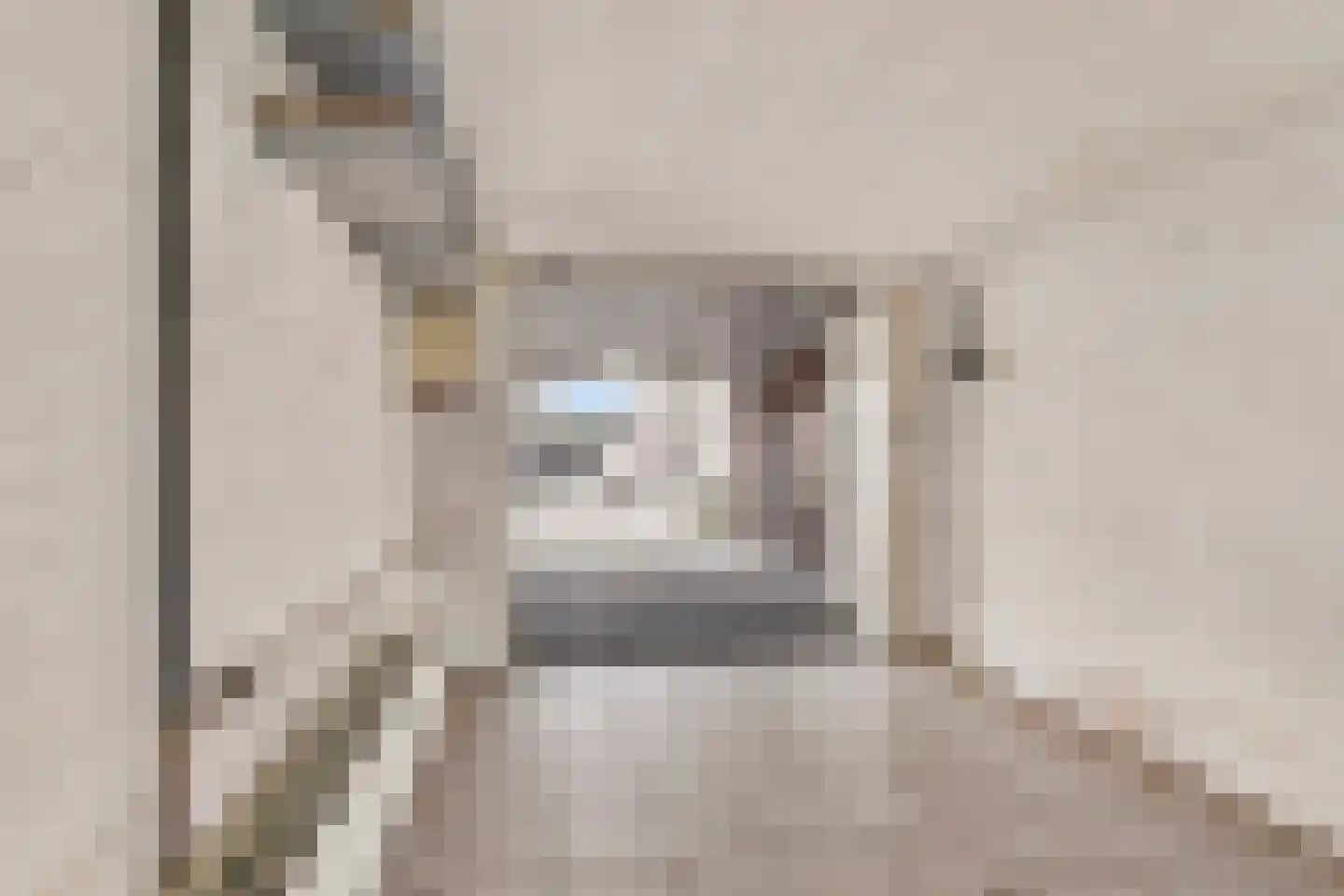Meeuwstraat 9 Didam thumbnail 32