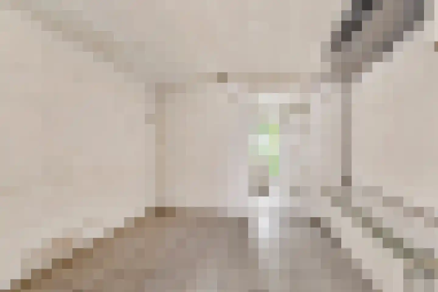 Meeuwstraat 9 Didam thumbnail 33