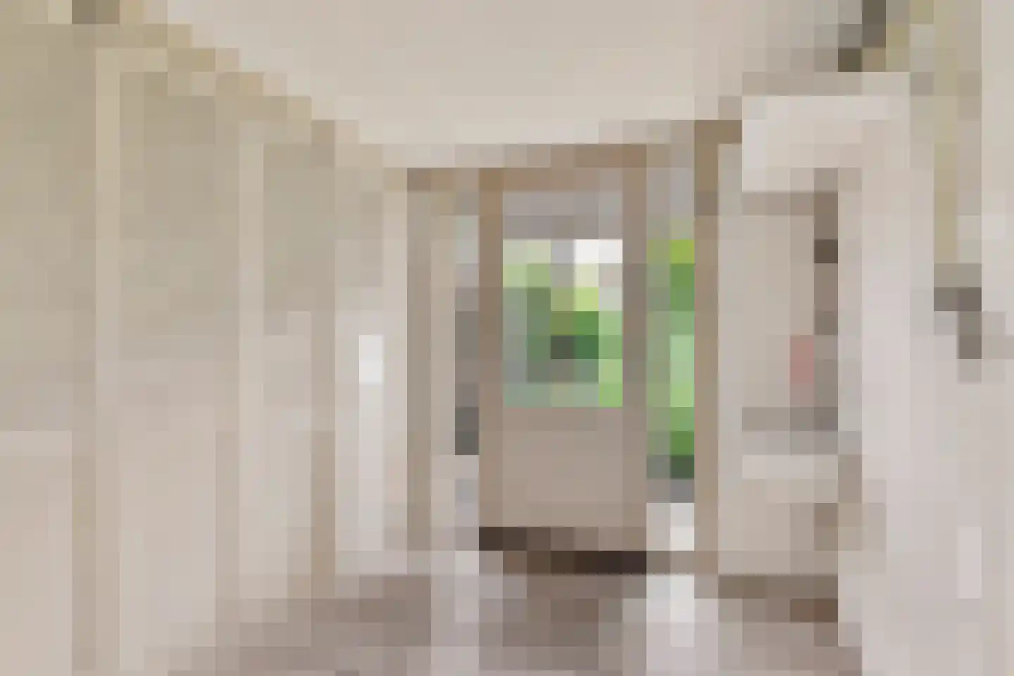 Meeuwstraat 9 Didam thumbnail 34