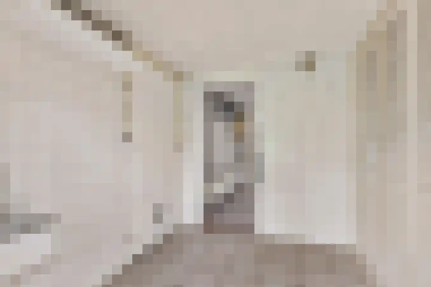 Meeuwstraat 9 Didam thumbnail 35