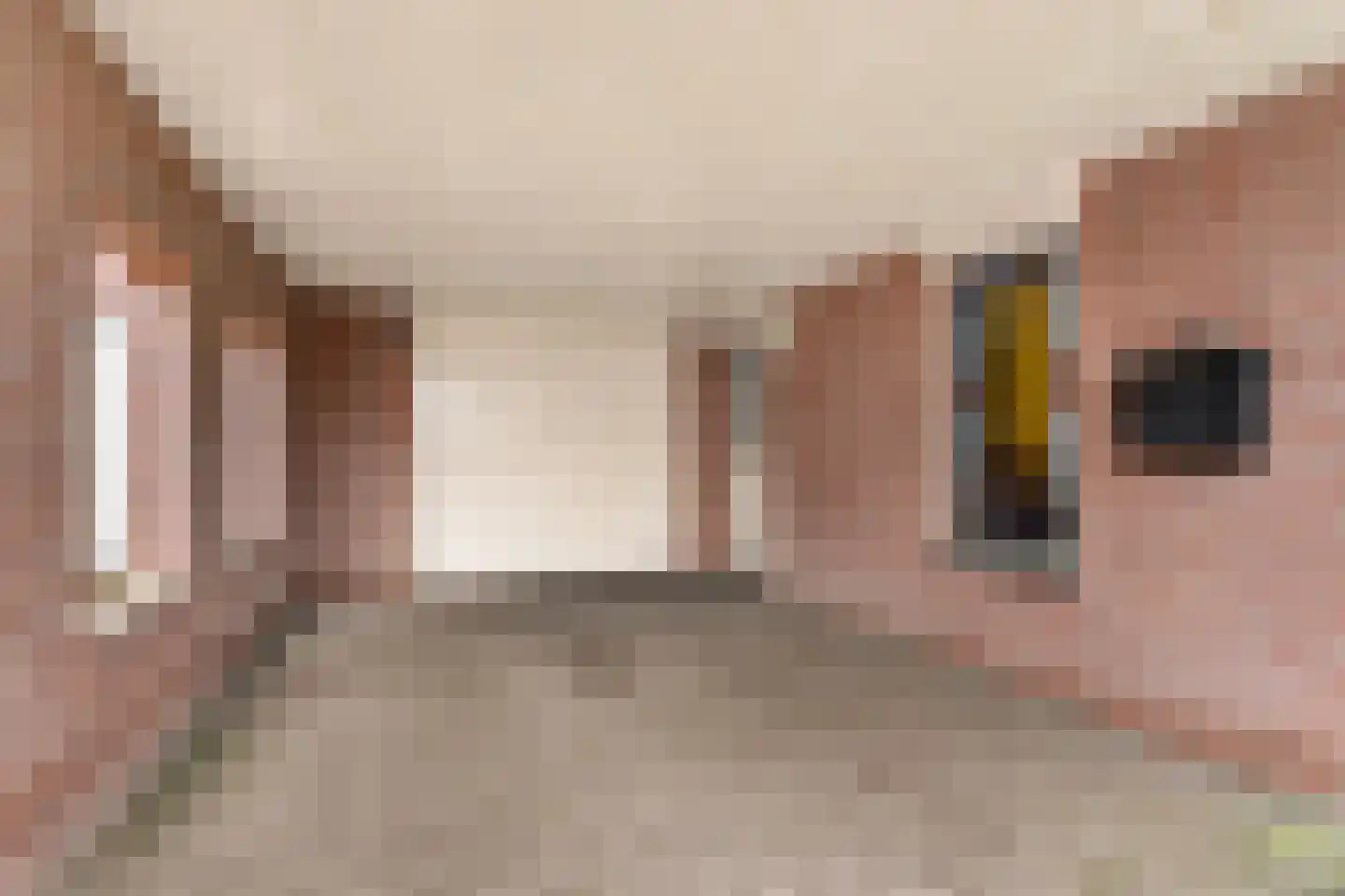 Meeuwstraat 9 Didam thumbnail 4