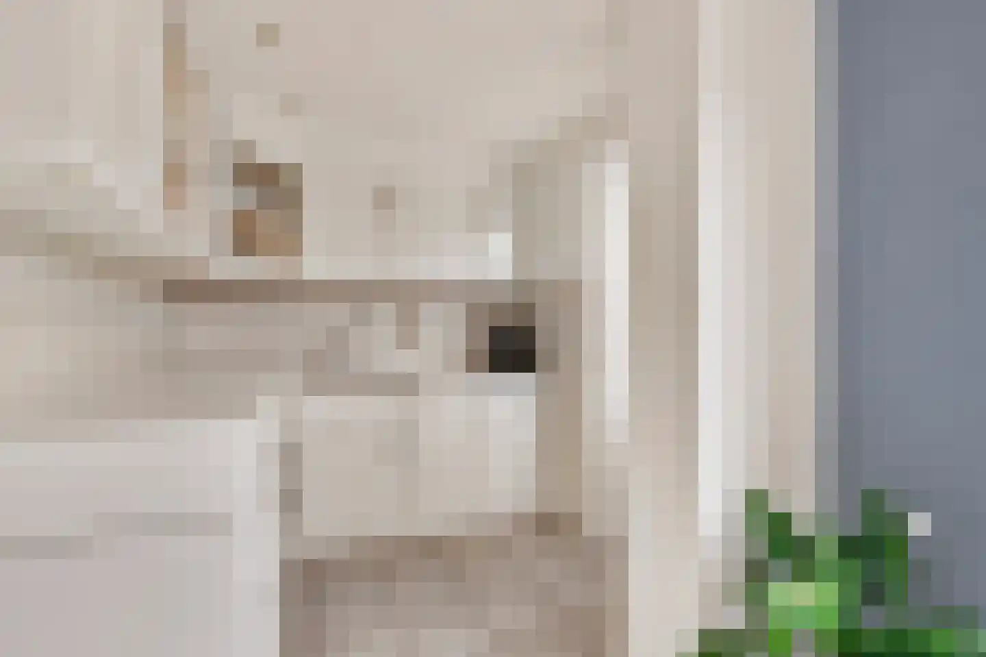 Meeuwstraat 9 Didam thumbnail 9