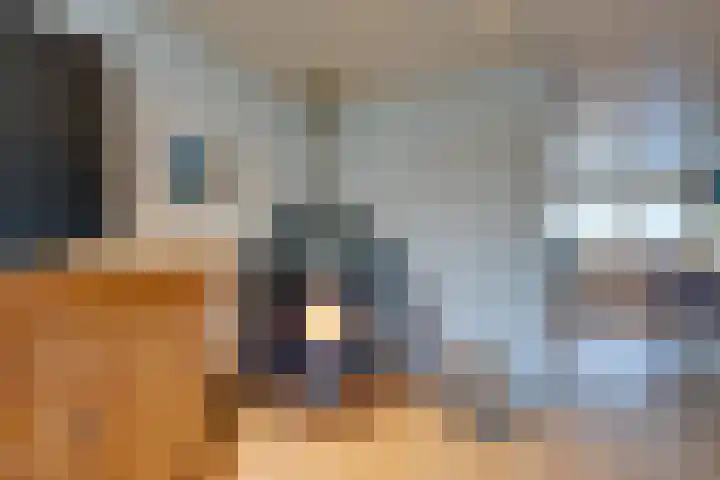 Meeuwstraat 92 Purmerend thumbnail 11