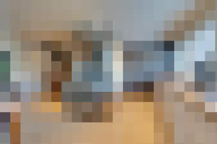 Meeuwstraat 92 Purmerend thumbnail 18