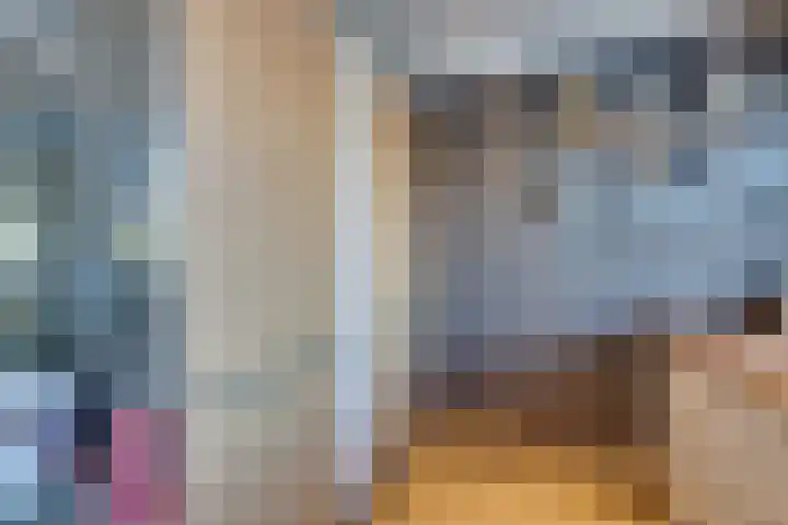 Meeuwstraat 92 Purmerend thumbnail 20