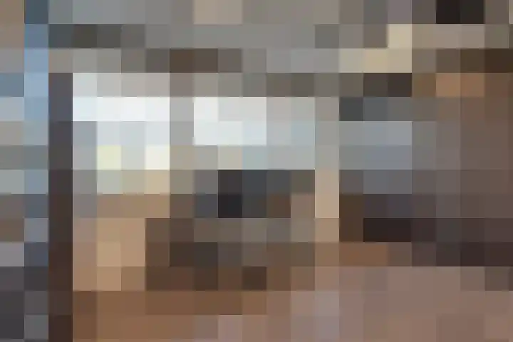 Meeuwstraat 92 Purmerend thumbnail 25