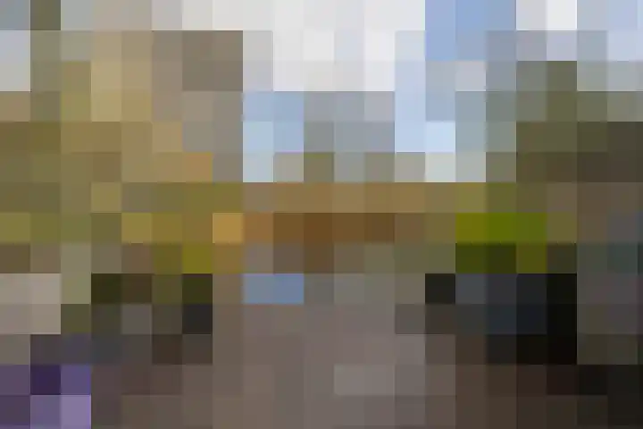 Meeuwstraat 92 Purmerend thumbnail 31