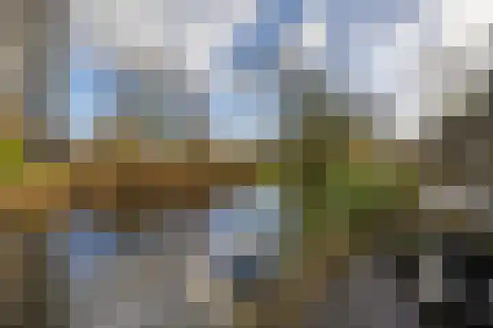 Meeuwstraat 92 Purmerend thumbnail 32