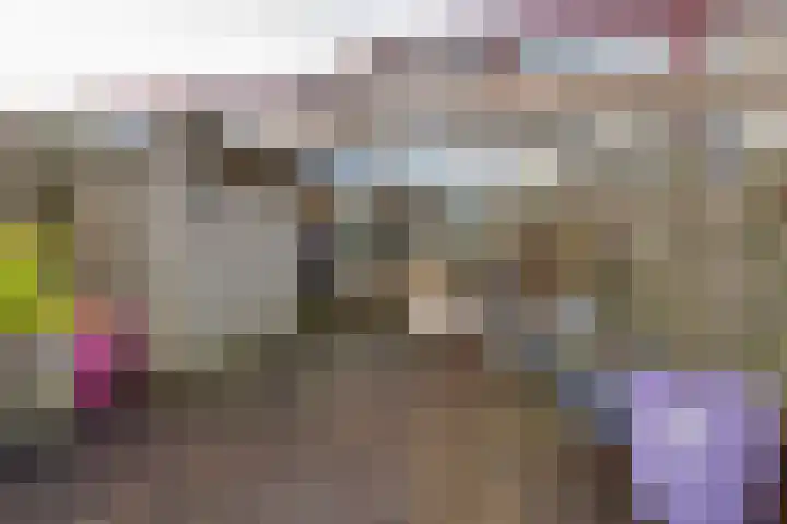 Meeuwstraat 92 Purmerend thumbnail 33