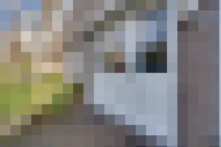Meeuwstraat 92 Purmerend thumbnail 47