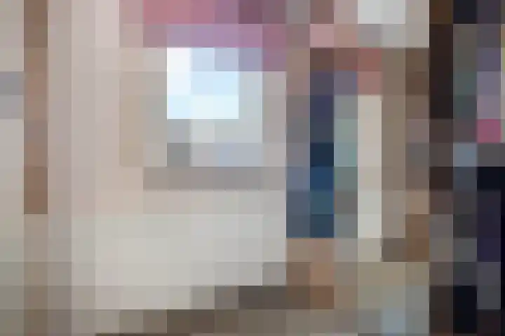 Meexstraat 12 Stein thumbnail 34