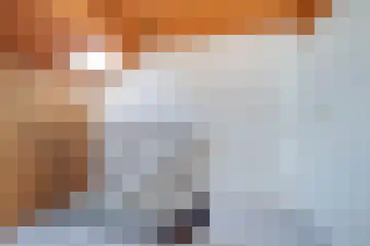 Meexstraat 12 Stein thumbnail 38