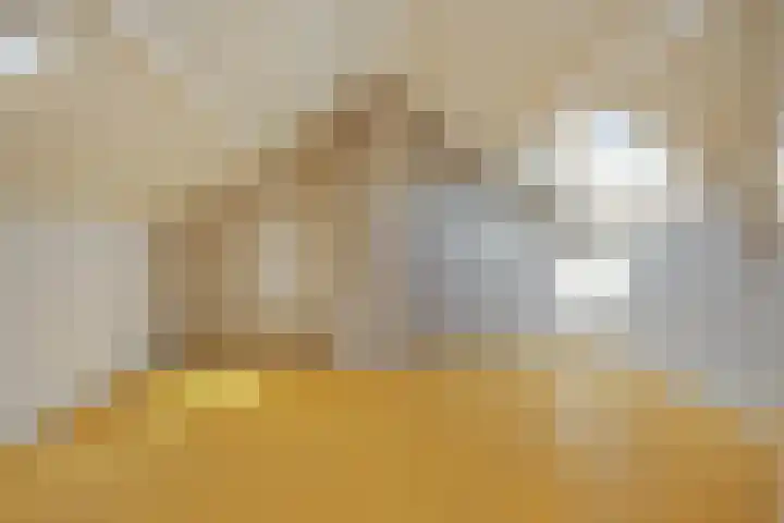 Meexstraat 12 Stein thumbnail 39