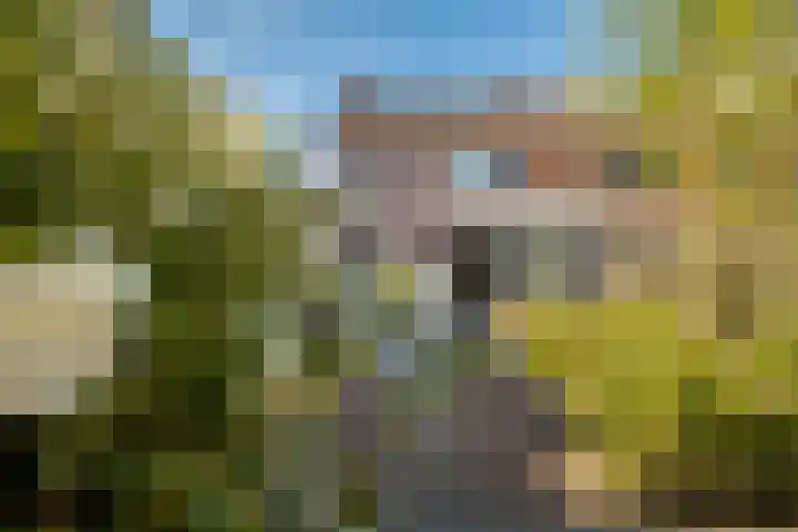 Meexstraat 12 Stein thumbnail 43