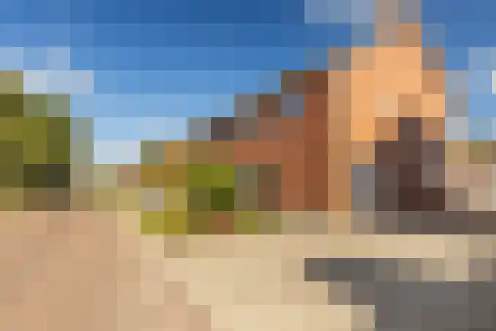Meexstraat 12 Stein thumbnail 5