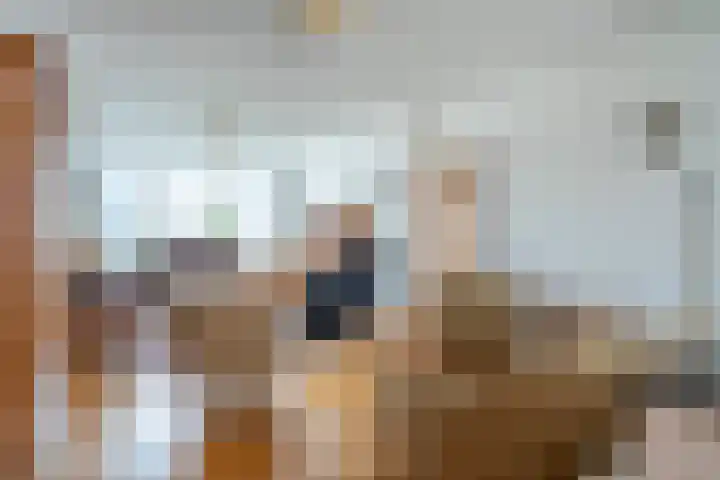 Meexstraat 18 Stein thumbnail 12
