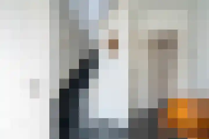 Meexstraat 18 Stein thumbnail 21