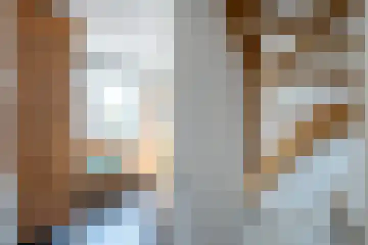 Meexstraat 18 Stein thumbnail 31