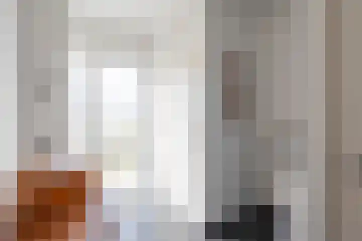 Meexstraat 18 Stein thumbnail 8