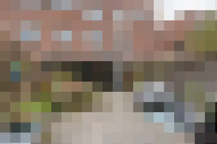 Meezenbroekstraat 31 A Veendam thumbnail 30