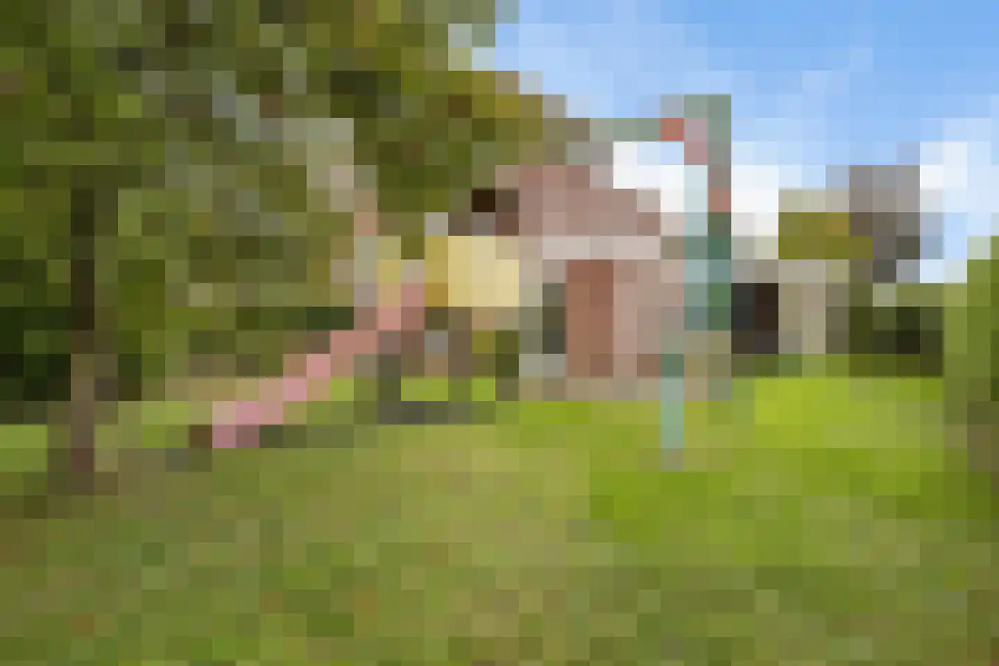 Meezenbroekstraat 47 Veendam thumbnail 15