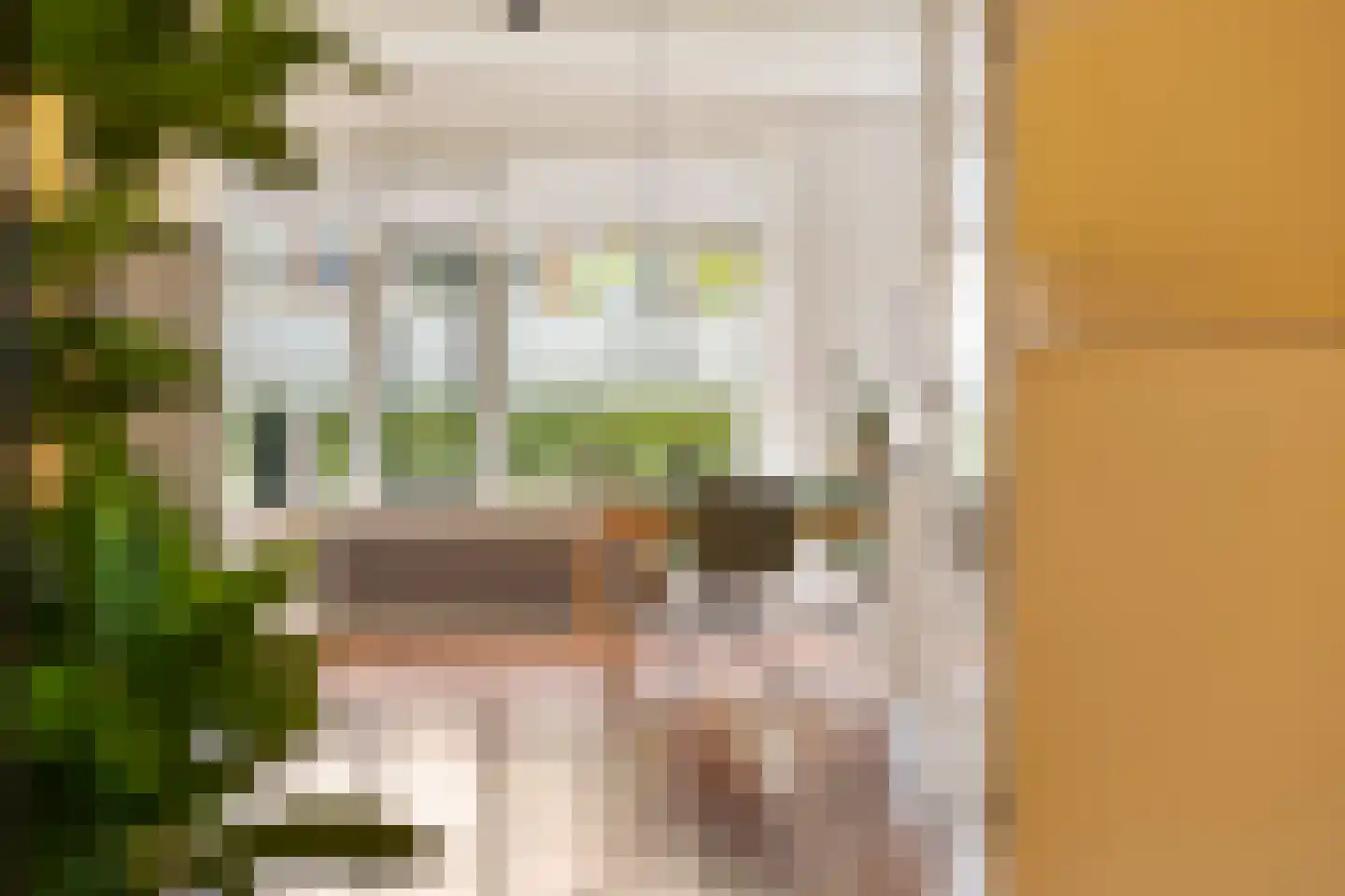 Meezenbroekstraat 47 Veendam thumbnail 28